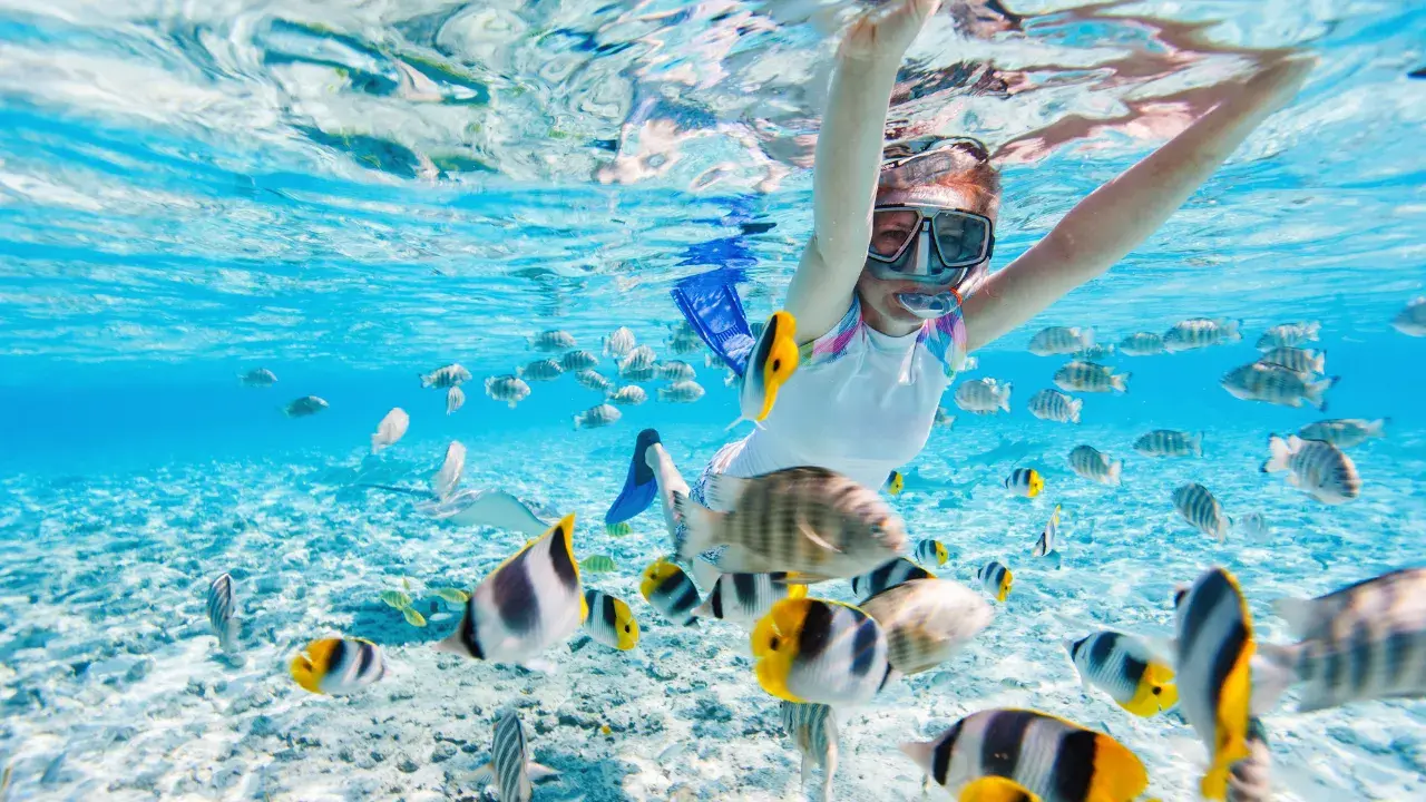 Beach Trip Activities: Snorkeling