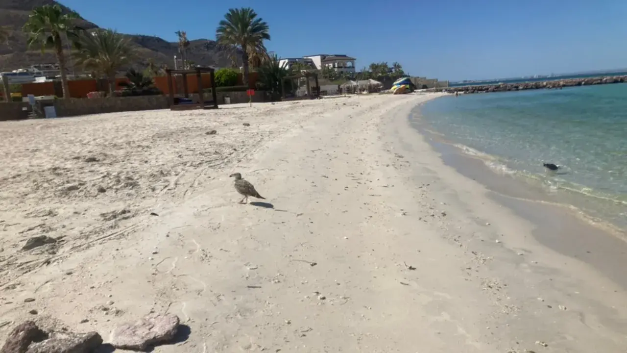 Coastline at El Caimancito