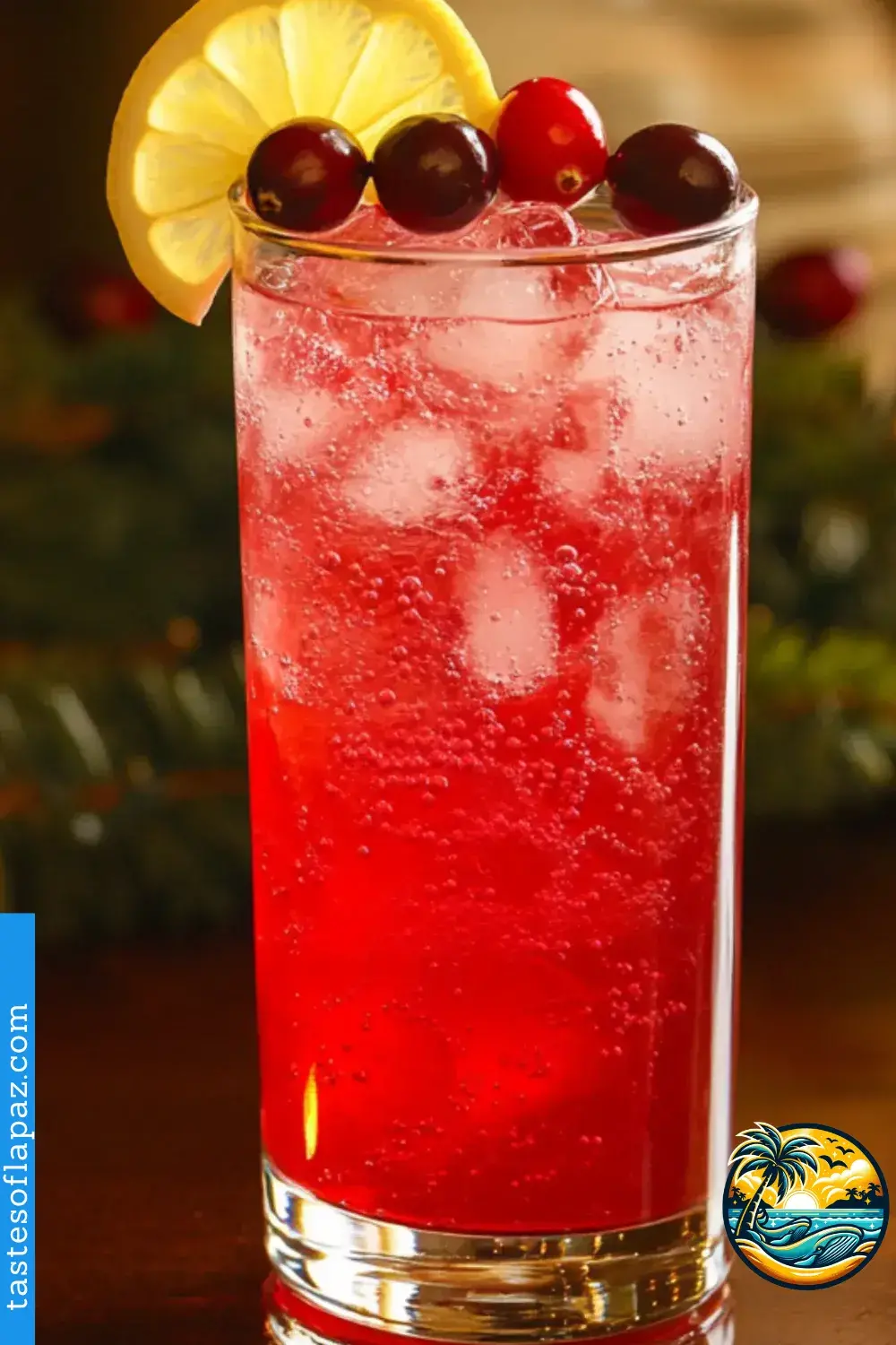 Cranberry Spritzer Mocktail