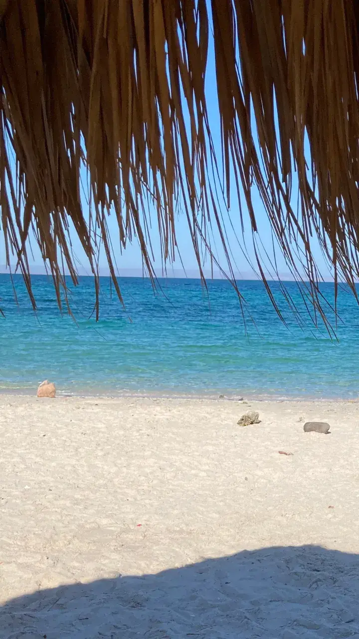 Dreamy Caimancito Beach.