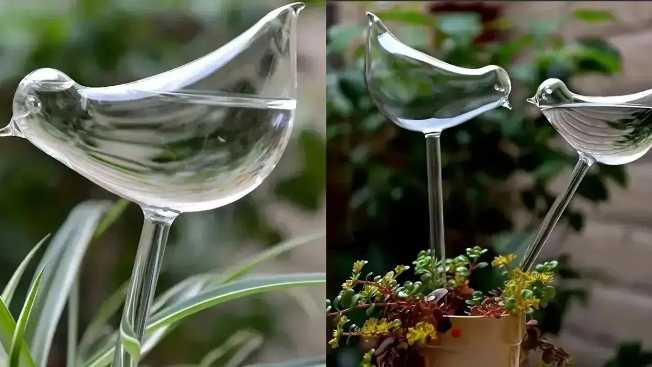 PVC Bird shape Watering Globe