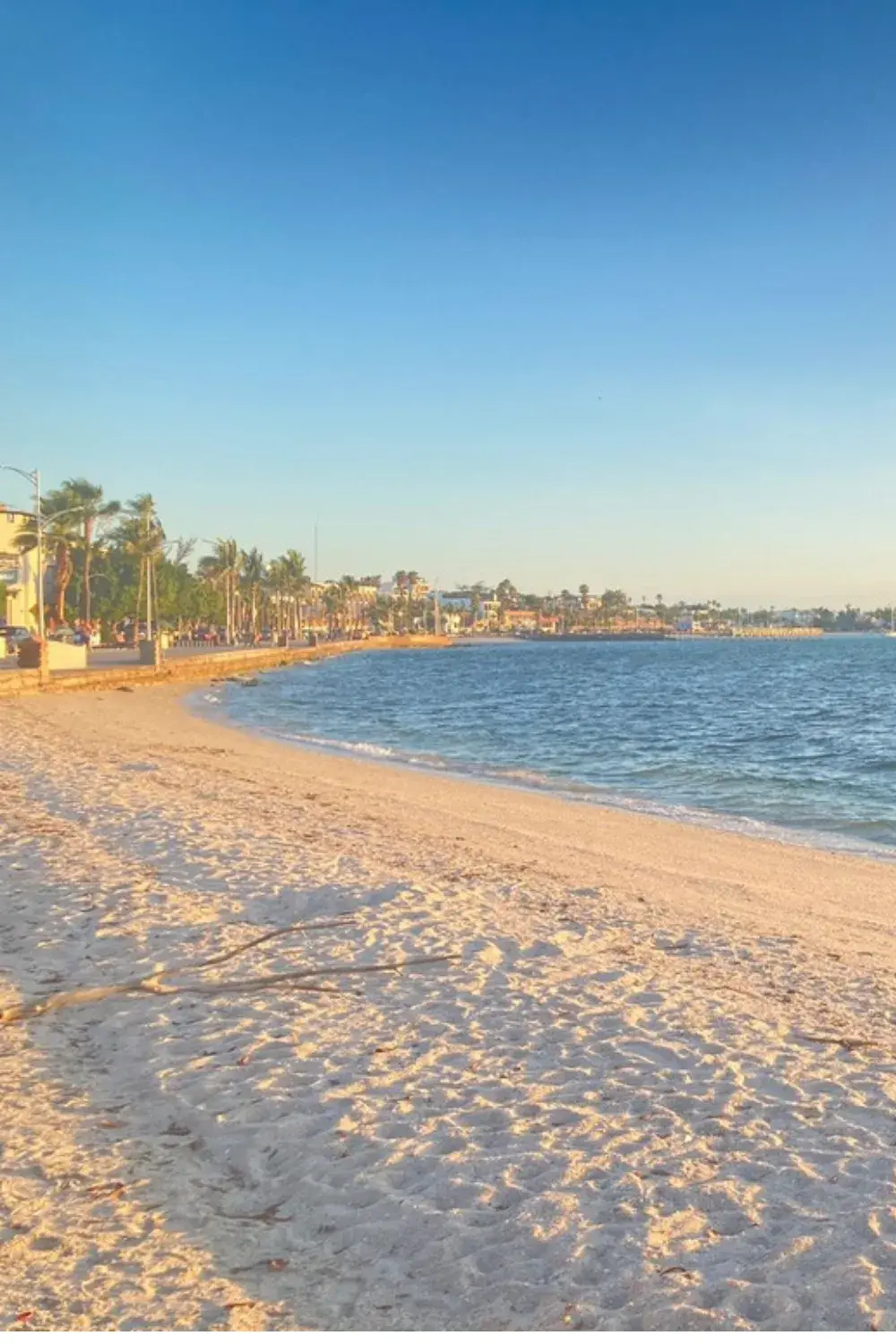 For these reasons, you shouldn\`t swim at the boardwalk beach in La Paz.