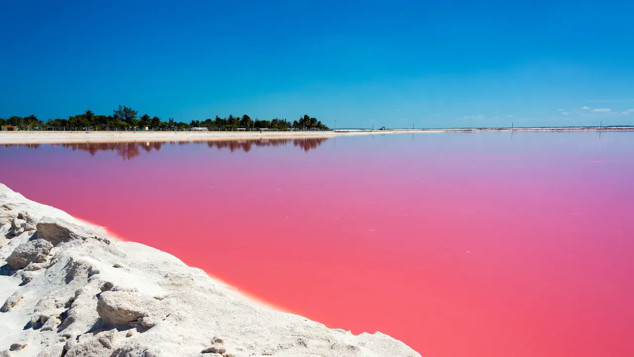 Las Coloradas a pink beach lagoon?