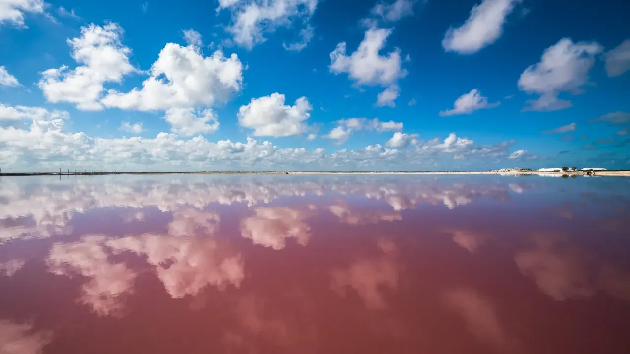 Las Coloradas  Natural Beauty