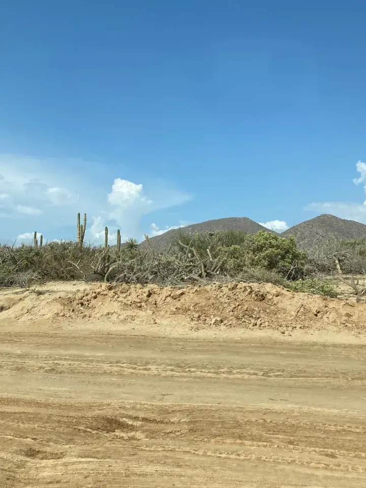 Dirt road at Los Cerritos