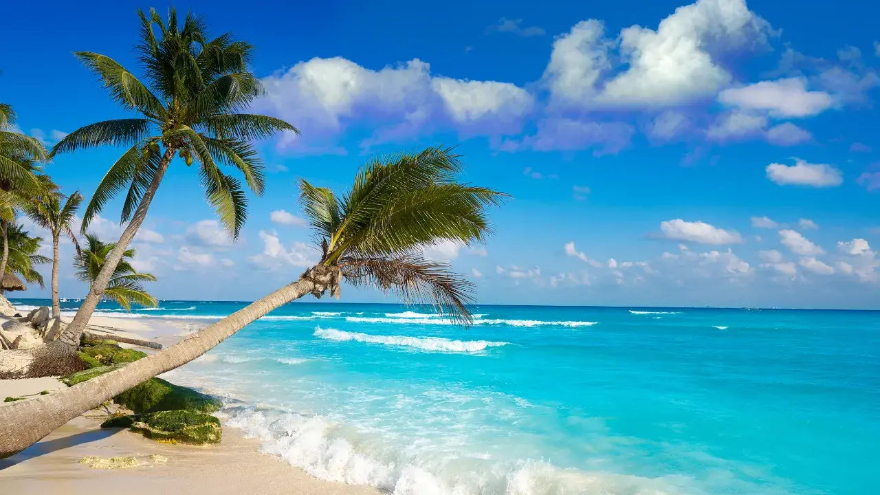 Mexico Is So Much More Than Beaches, but God, They Are Beautiful!